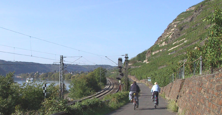 cycle path along the Mosel