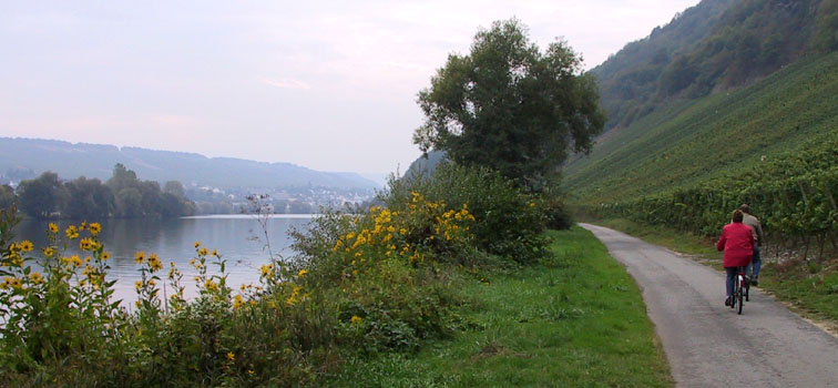 continuing up the Mosel